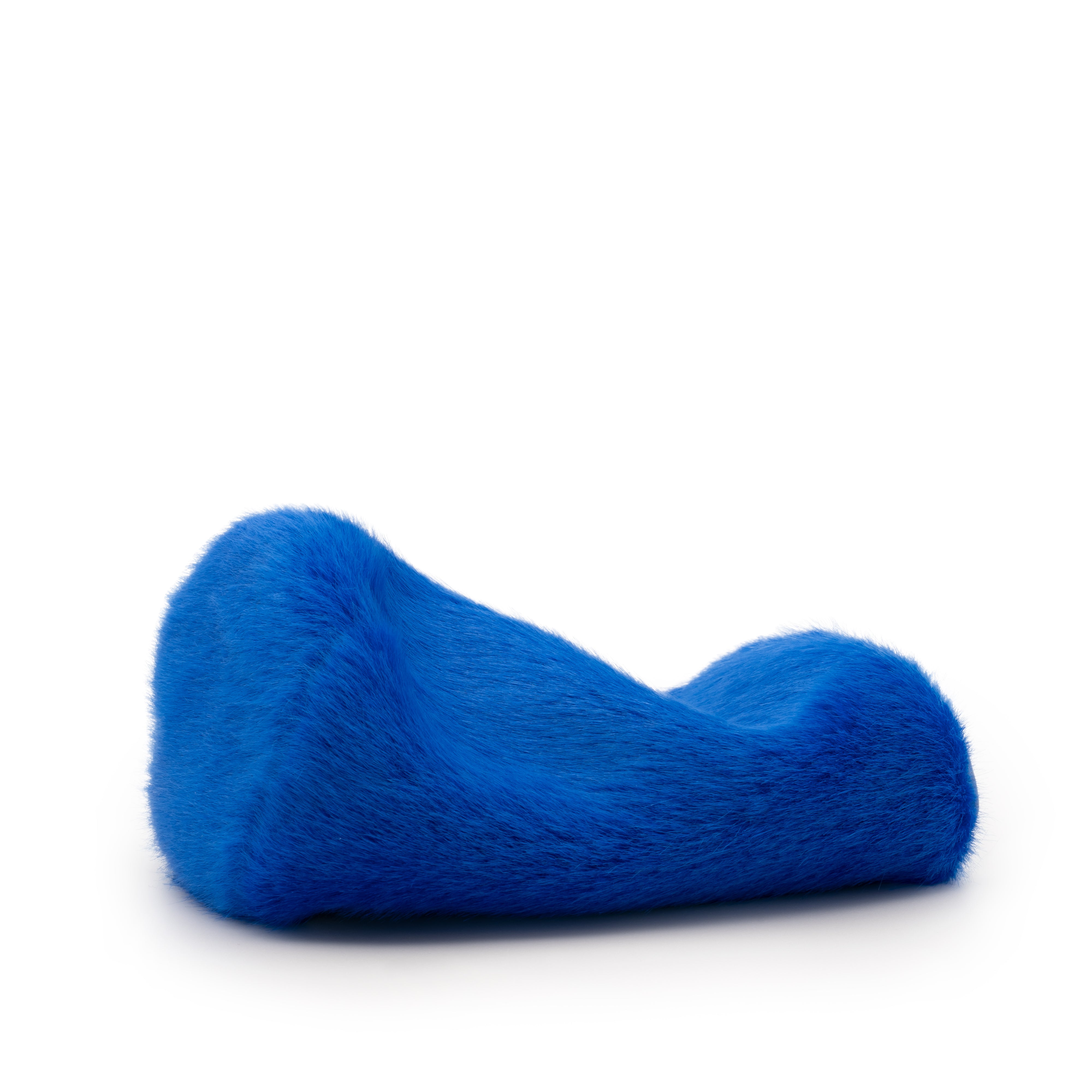 The Short-Haired Spacer Cover