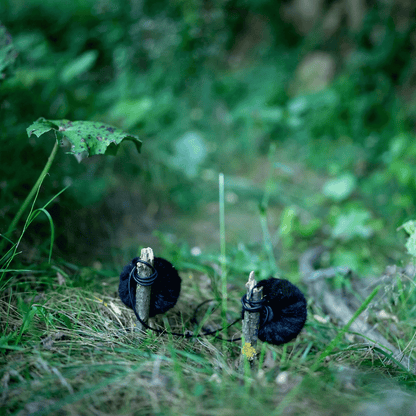 The Windbubble Pro (2-pack)