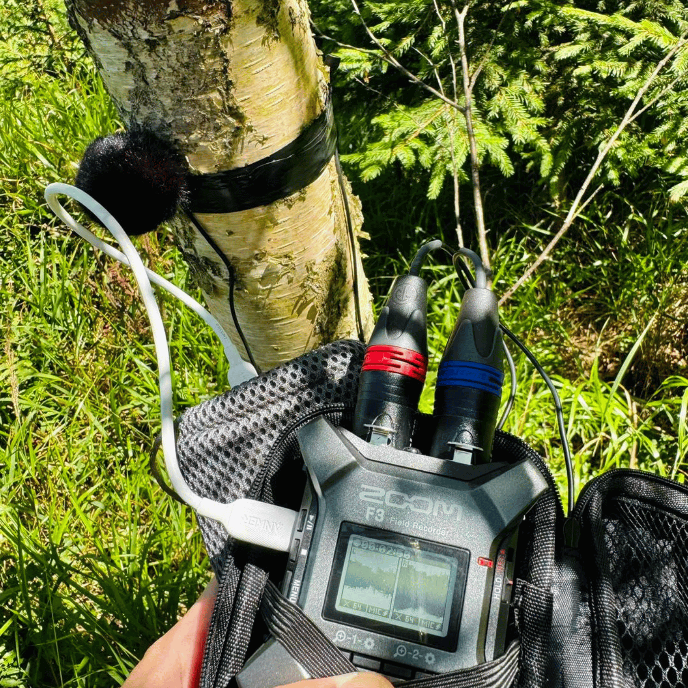 The Windbubble Pro (2-pack)