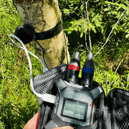 The Windbubble Pro (2-pack)