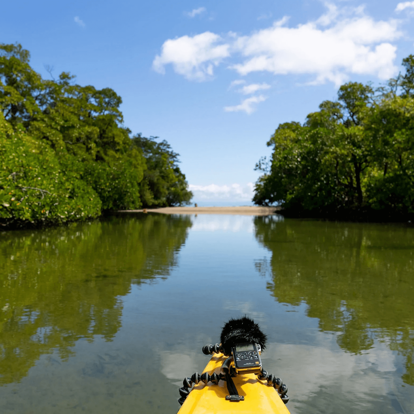 The Windkiller SE for Portable Recorders