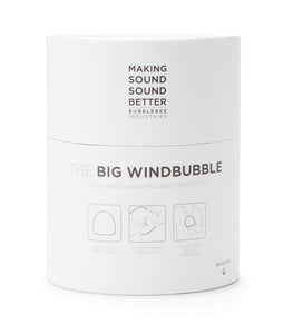 The Big Windbubble